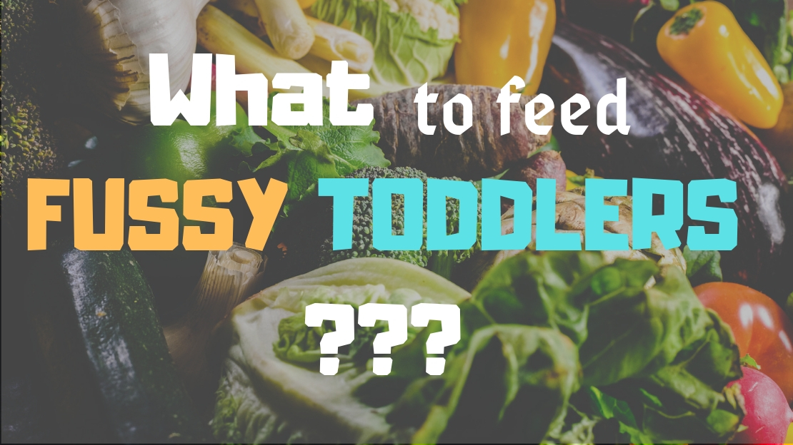 Food For Fussy Toddlers ASTOLDBYMOM